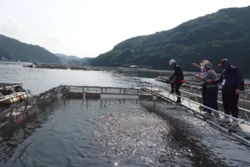 日本瀨戶內海漁業的永續經營案例分享